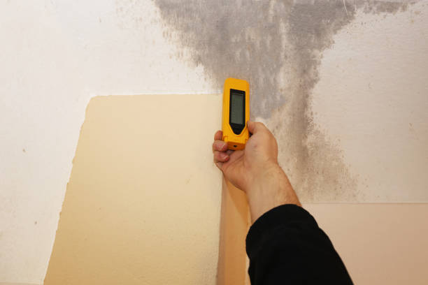 Dehumidification Services in Hemby Bridge, NC