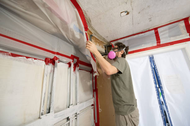 Professional Mold Removal in Hemby Bridge, NC