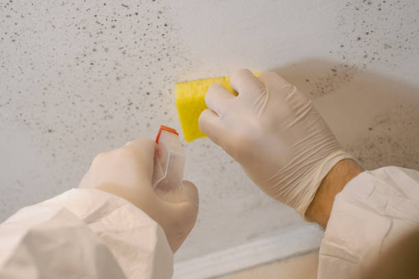 Best Biohazard Mold Removal  in Hemby Bridge, NC